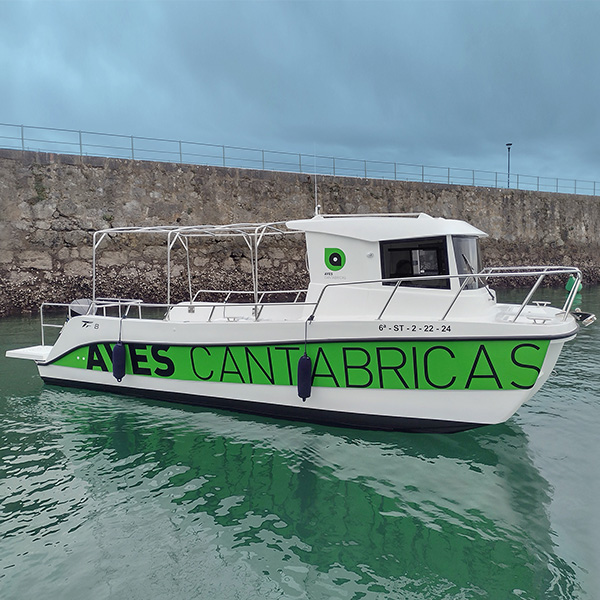 Boat renting with crew, 2 h