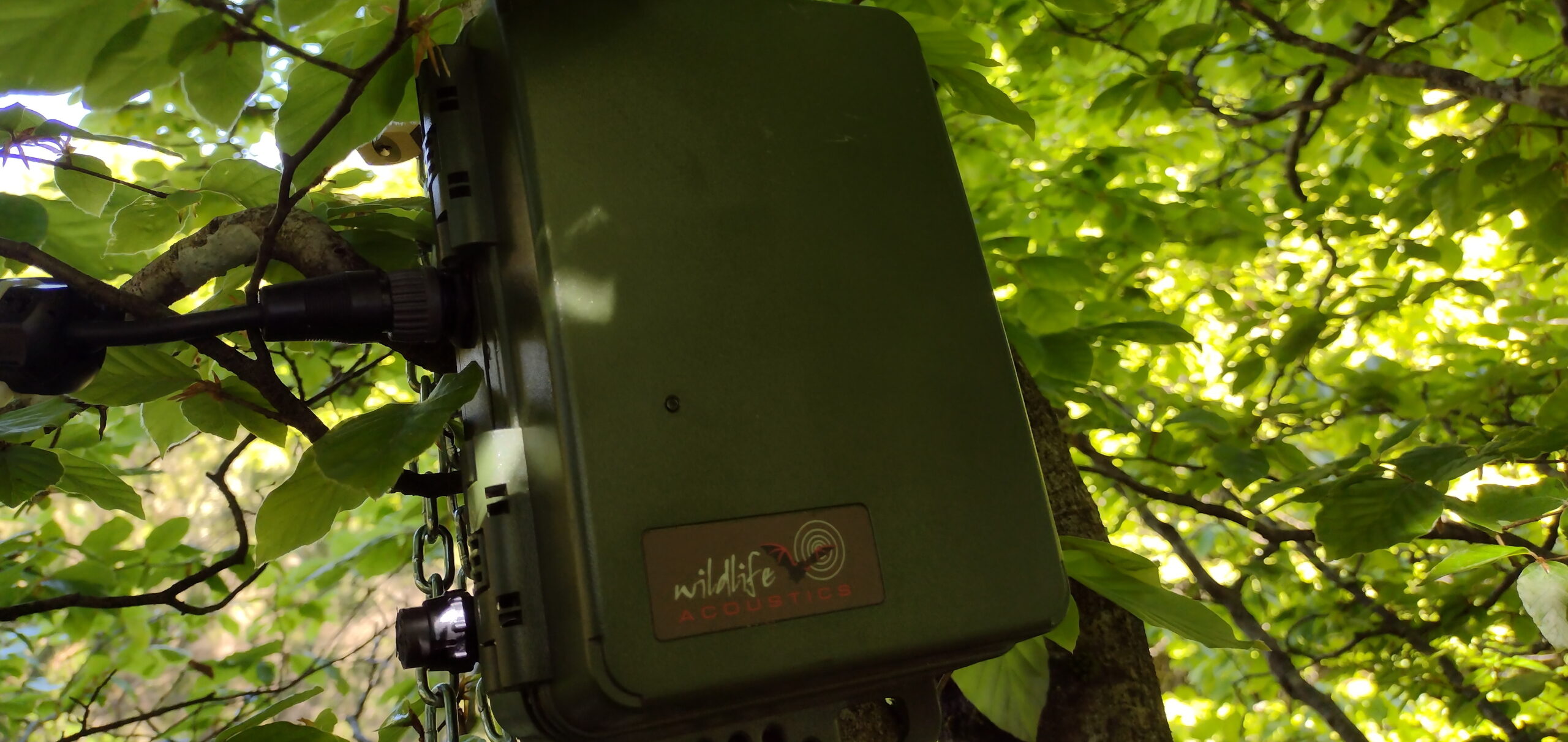 IMG_20240528_122533843